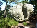 2014-07-03 11-06-02 Rando foret de Nemours FGn